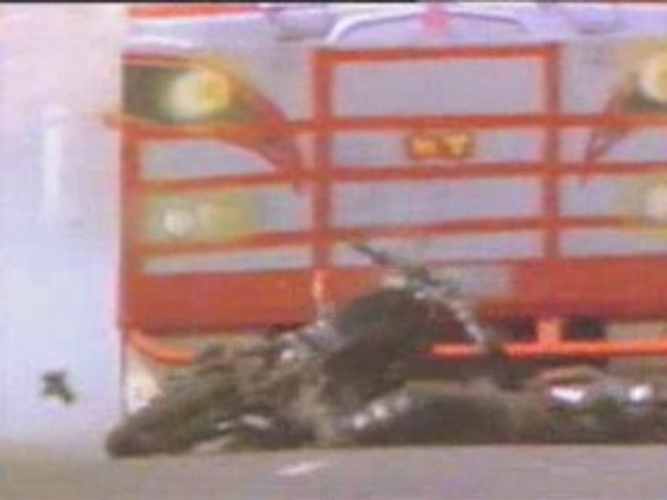 Terminator ( mad max )