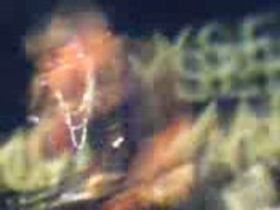 MOV00044