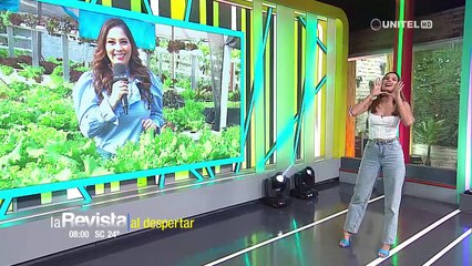 下载视频: Lechugas cultivadas sin tierra, una alternativa limpia y ecológica para el consumo