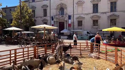 Marignane s'est donné samedi des airs de saison sur le cours Mirabeau.