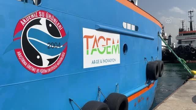 Akdeniz Araştırma 1 Gemisi Lübnan kara sularında, balıkçılık çalışmalarına katıldı