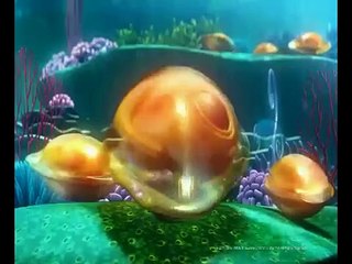 SEVİMLİ BALIK PUPI