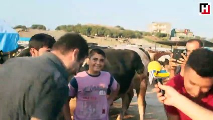 İşte yurdum insanının kurban pazarlığı...