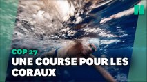 Lewis Pugh se rend à la nage à la Cop 27 en Egypte pour alerter sur la protection des coraux