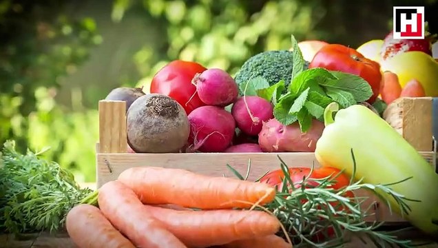 Dr. Mehmet Öz'le Sağlıklı Yaz dosyası bayram boyunca Hürriyet'te...