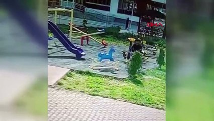 5 bisiklet çalıp satan azılı hırsız çay içerken yakalandı