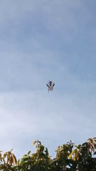 Nonton layangan tawon terbang di sore hari