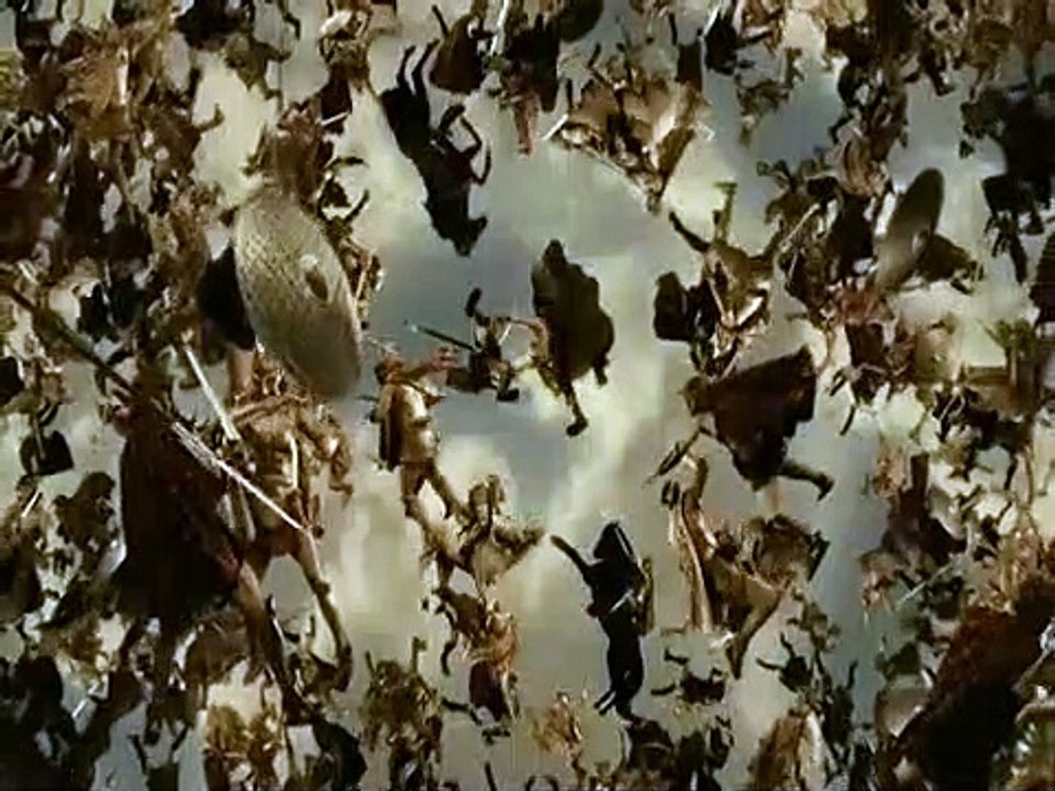 ÖLÜMSÜZLER: TANRILARIN SAVAŞI