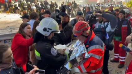 Il video del gatto salvato dai soccorritori tra le macerie a Kiev