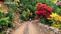 Tunceli ormanları sonbahar renkleriyle bir başka güzel