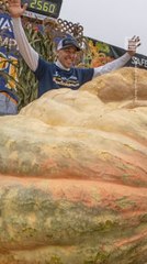 2,560-Pound Pumpkin Sets New North American Record