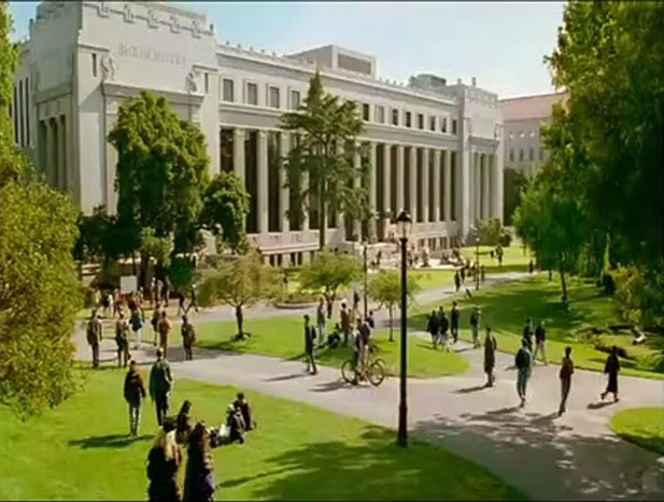 KATİL KÖPEK BALIĞI