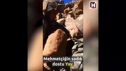 Mayın arama köpeği 'Yay' İkiyakalar'da komandolarla!