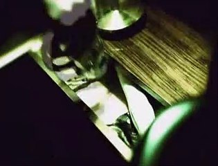 ARI KOVANINA ÇOMAK SOKAN KIZ