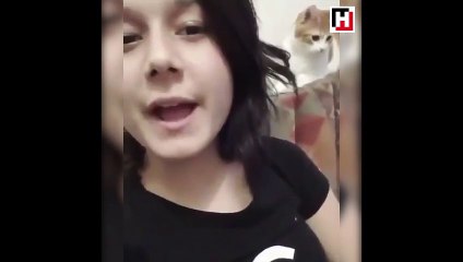 ''Korktun mu?'' mizahına dayanamayan kedi!