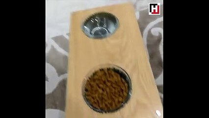 Böyle güzel insanlar da var!