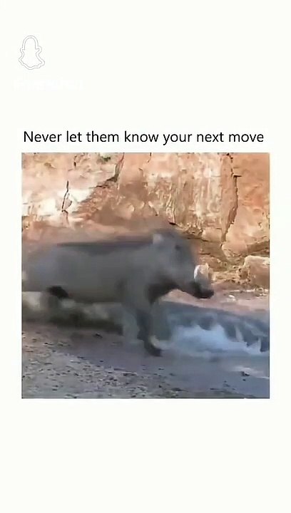 try to next level...