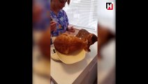Arkadaşını veterinere vermeyen kahraman kedi!