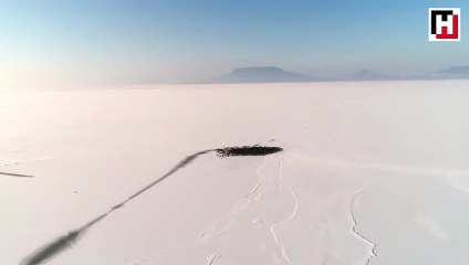 Macaristan'dan görülmeye değer bir an...