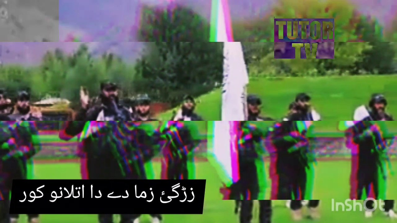 zarghy may kor Pashto Nazam Naat Tarana Tarany Natona Nazmona Tarane Nazm Song Sangar Yaar
