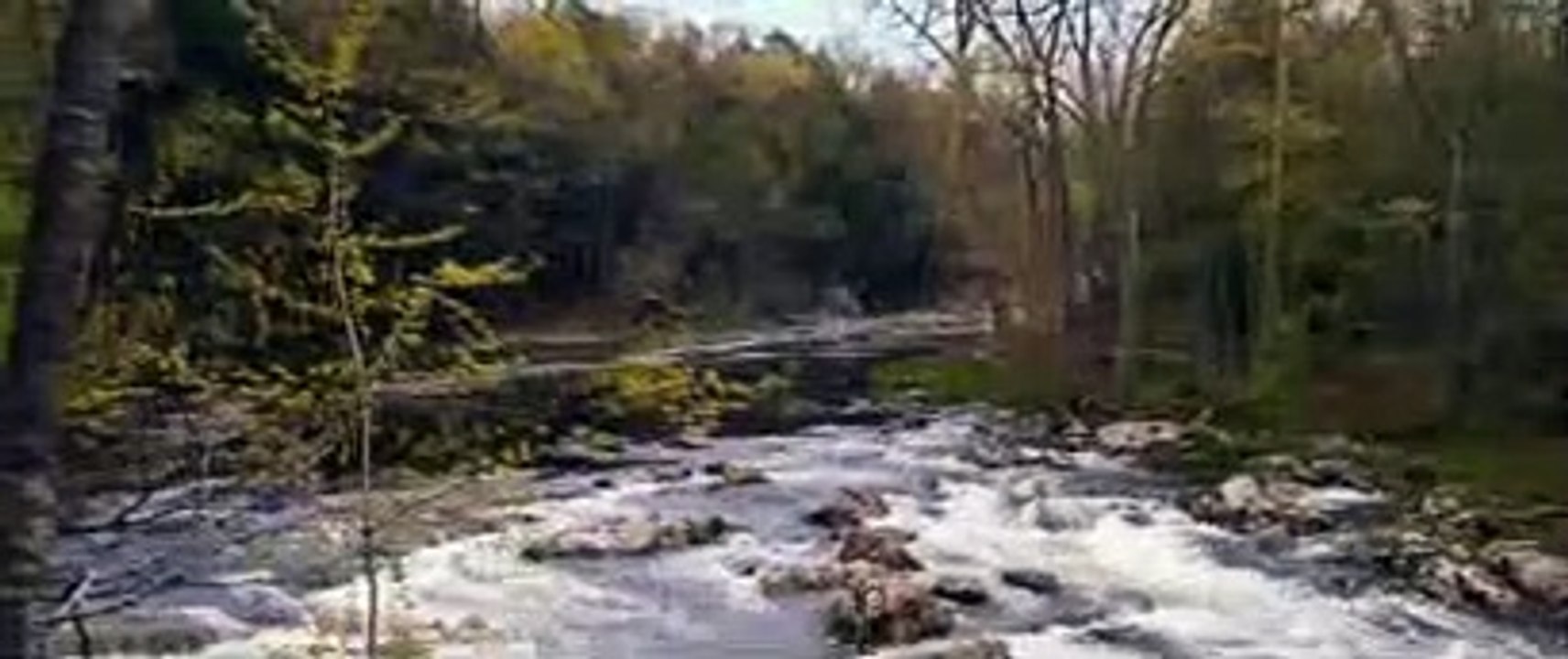 SATILIK RUH
