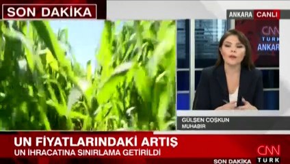 Un ihracatına sınırlama