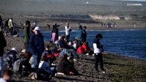 Argentina | Ascienden a 30 las ballenas francas muertas en las costas de la Patagonia