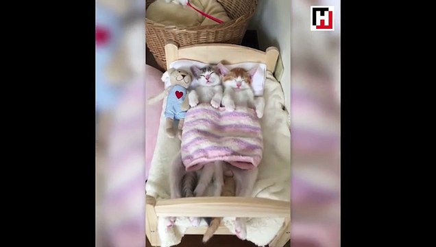 Anca beraber kanca beraber!