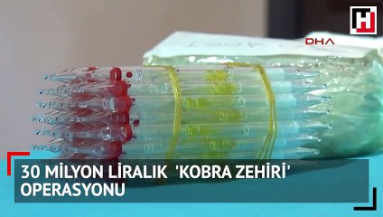 30 milyon liralık  'kobra zehiri' operasyonu