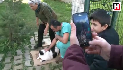 18 kiloluk ’Tombalak’ı zayıflatmak için seferber oldular