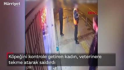 Veterinere tekmeli saldırı kamerada