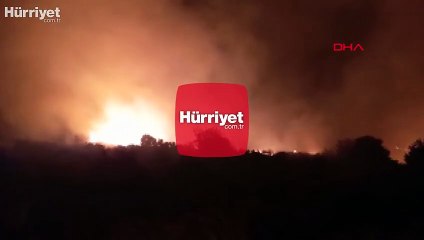 İzmir'de otluk alanda çıkan yangın kontrol altına alındı