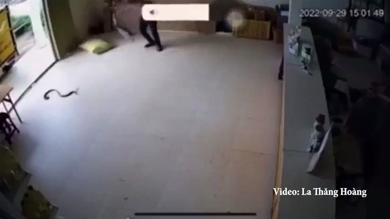 Danser avec un serpent... enfin presque