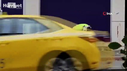 Yürekleri ısıtan görüntü Üsküdar da kaydedildi