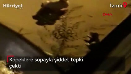 Köpeklere sopayla şiddet tepki çekti