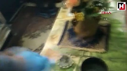 İstanbul'da tarihi eser operasyonu