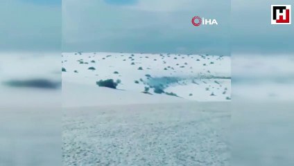 Suudi Arabistan'da kar yağdı