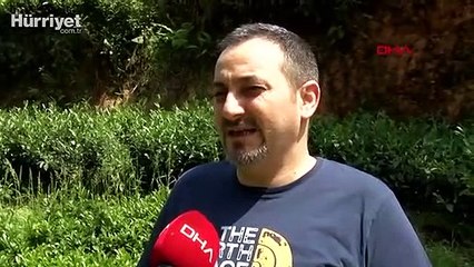 Karadeniz'de zararlı kelebek tehlikesi artıyor