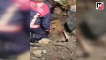 Cihangir'de 5 saat süren köpek kurtarma operasyonu kamerada