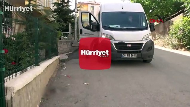 Tam anlamıyla bahşet! Yol kenarında kafası ve ayakları kopmuş yavru kedi bulundu