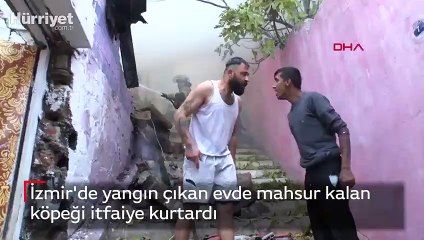 Yangın çıkan evde mahsur kalan köpeği itfaiye kurtardı