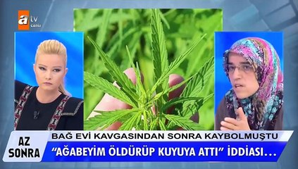 Müge Anlı'da şoke eden kenevir diyaloğu