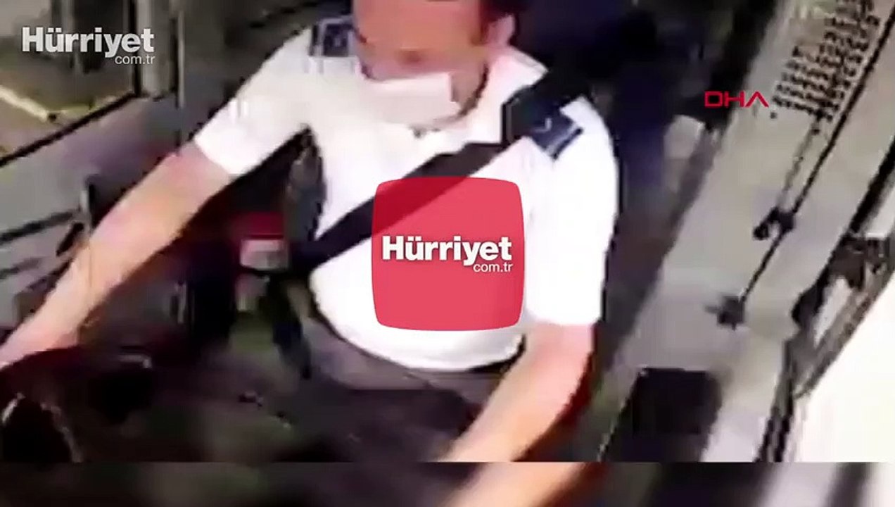Şoförün dikkati yavru köpekleri ezilmekten son anda kurtardı 