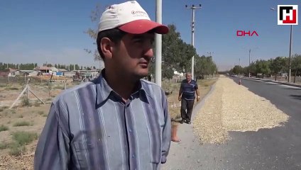 Yolun bir şeridini trafiğe kapatıp, kabak çekirdeği kurutuyorlar