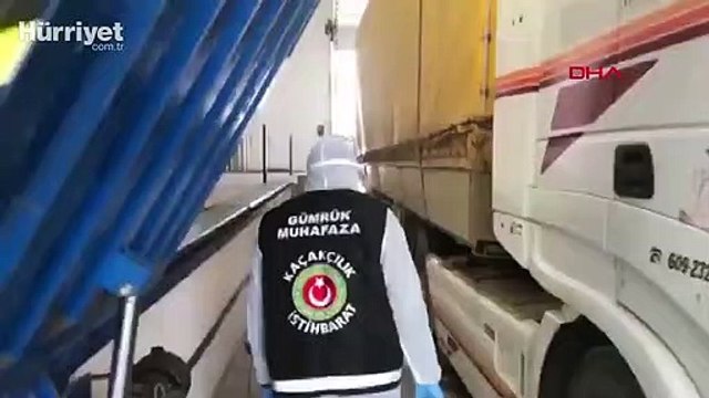 Sarp Gümrük Kapısı'nda, 1500 canlı kraliçe arı ele geçirildi