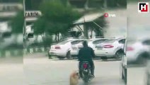 Köpeği motosiklete bağlayıp metrelerce koşturdular
