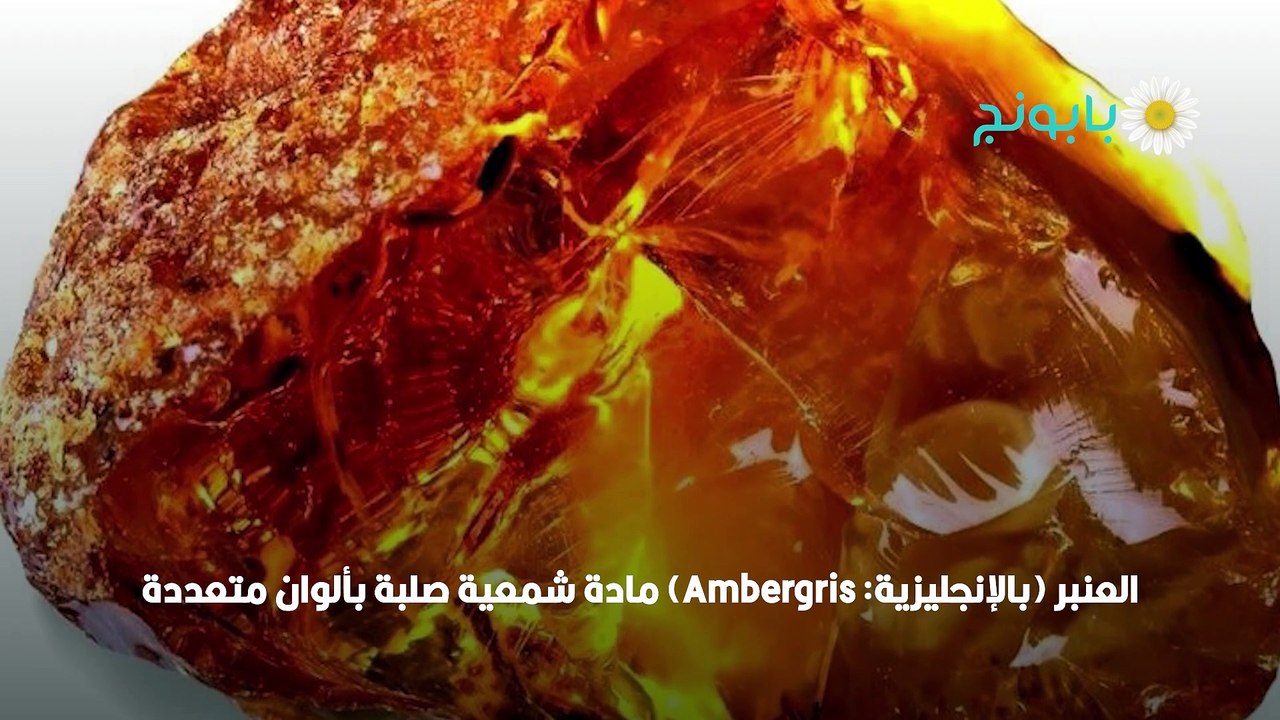 انواع العنبر