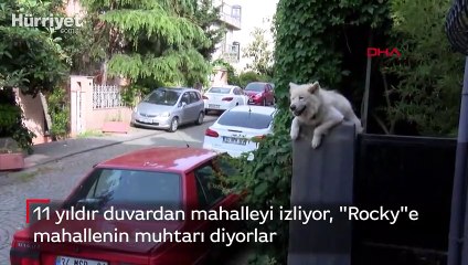 Rocky'e "mahallenin muhtarı" diyorlar