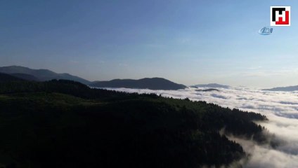 Ordu'da sis seyirlik manzara oluşturdu