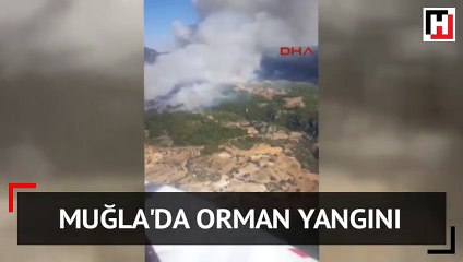 Muğla'da orman yangını